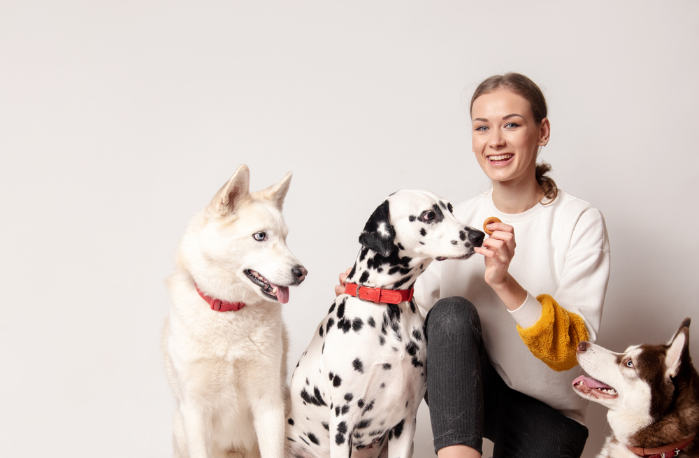 Owning a Dog as a Single Person: 10 Tips for Success