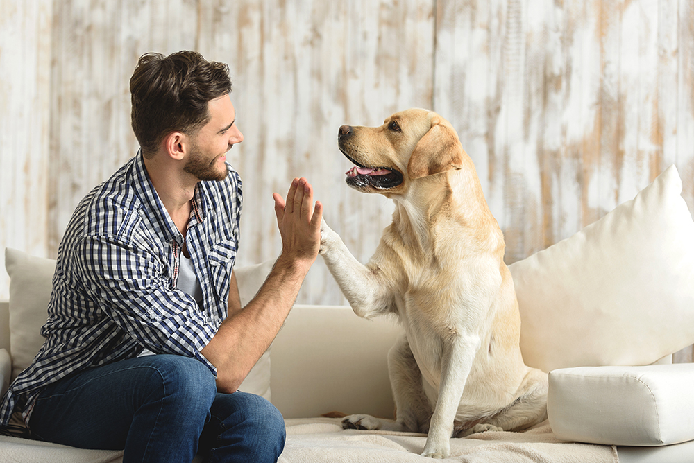 Do Dogs Think They're Human? How They Perceive Our Relationship