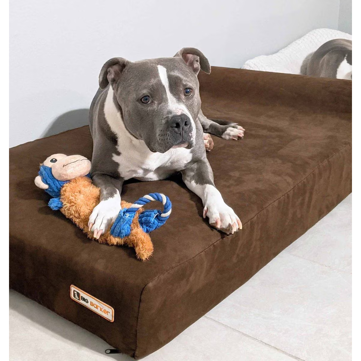 Big Barker Orthopedic Dog Bed