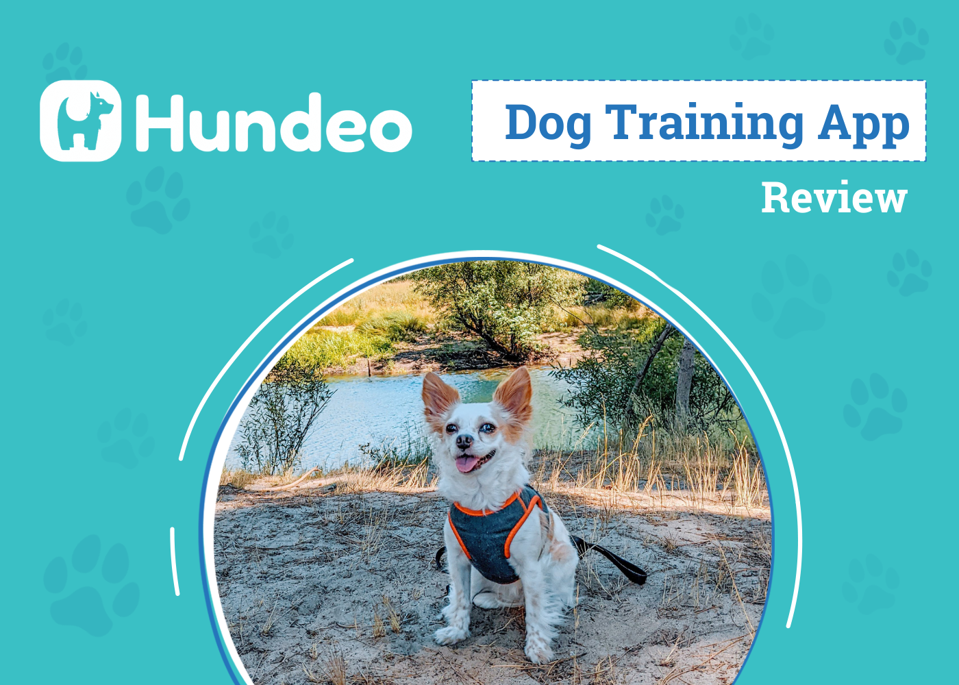 Hundeo Dog Training App Review 2026: An Expert’s Breakdown