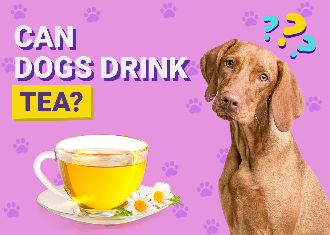 Can Dogs Drink Tea? Vet-Approved Nutrition Facts & FAQ