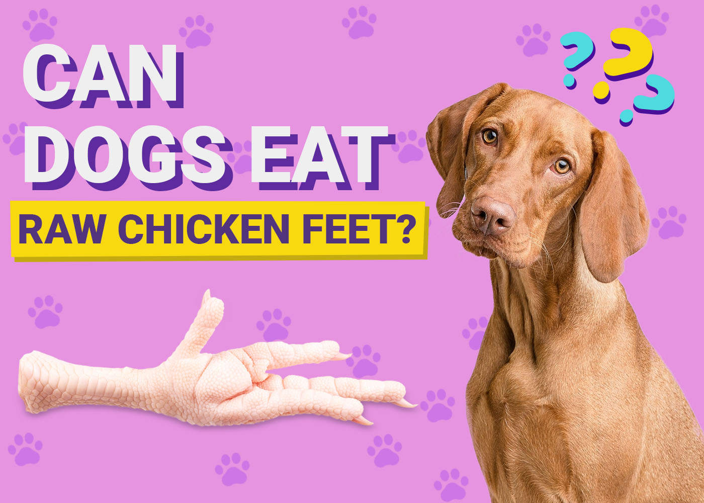 Can Dogs Eat Raw Chicken Feet? Vet-Verified Nutrition Facts & Info