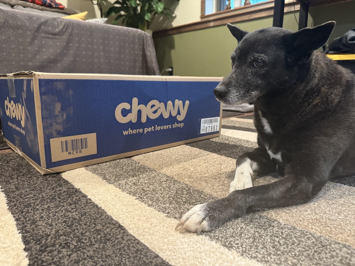 Lorraina and the Chewy Box: An Unhealthy Relationship