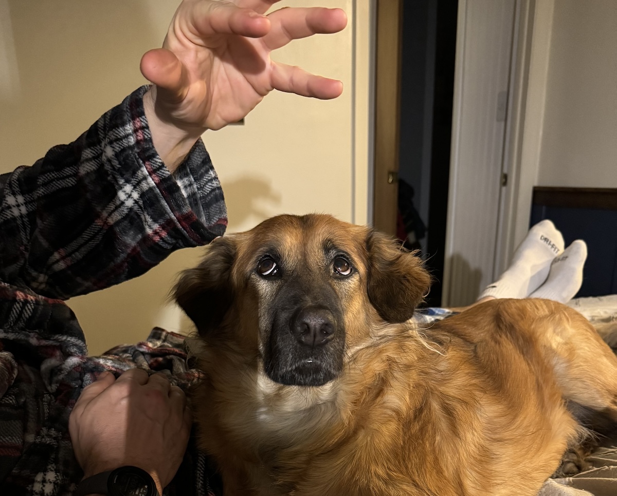 Should I Divorce My Husband Because Manic Loves Him More? Maybe!