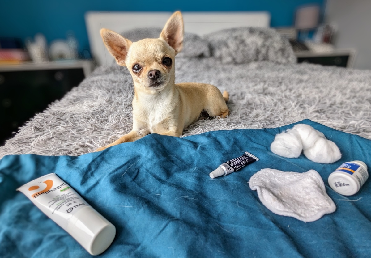 Ned's Weepy Peepers: Solving the Problem of Giving Eye Drops to Dogs (with Video)