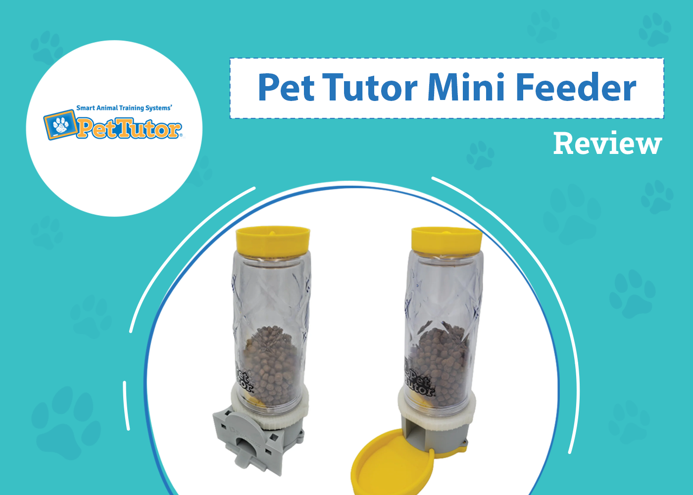 Pet Tutor Mini Feeder Review 2026: Pros, Cons & Verdict