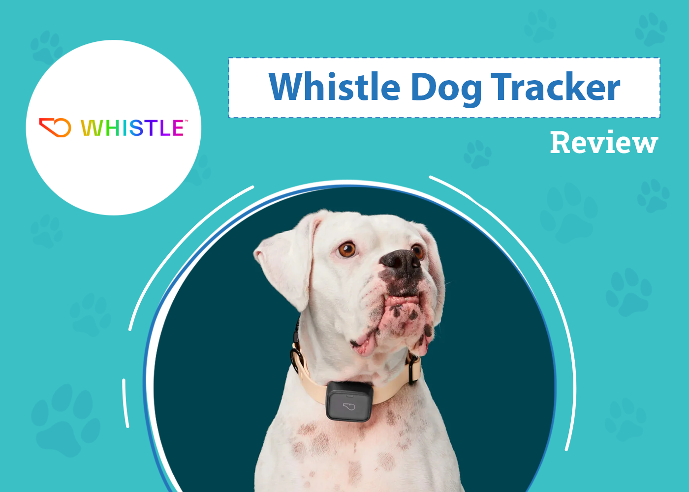 Whistle Dog Tracker Reviews 2026 - Pros, Cons & Verdict