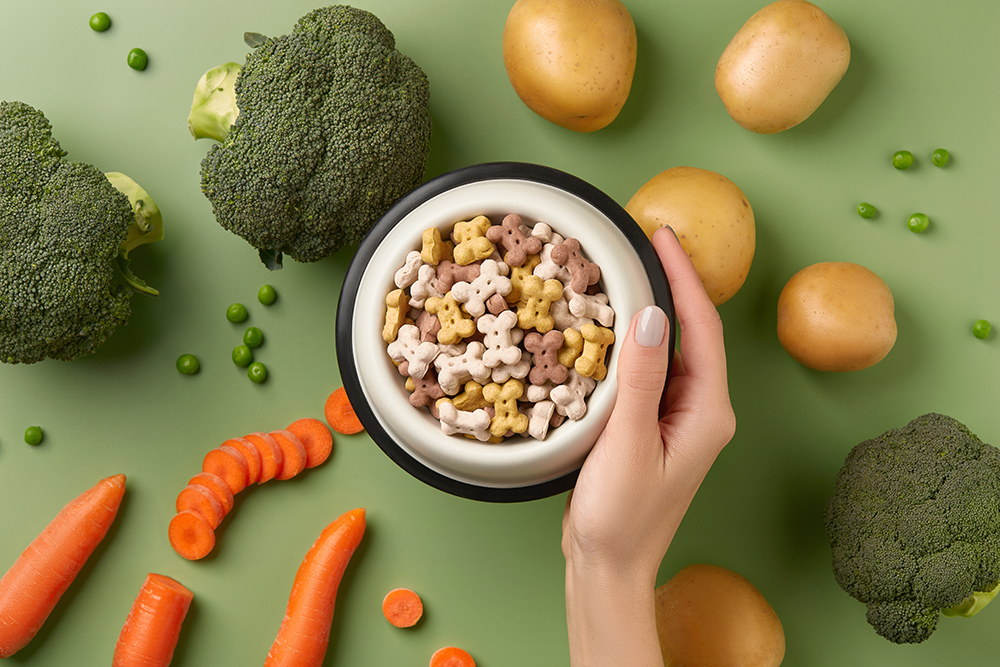 hand holding pet bowl filled with vegan dog food
