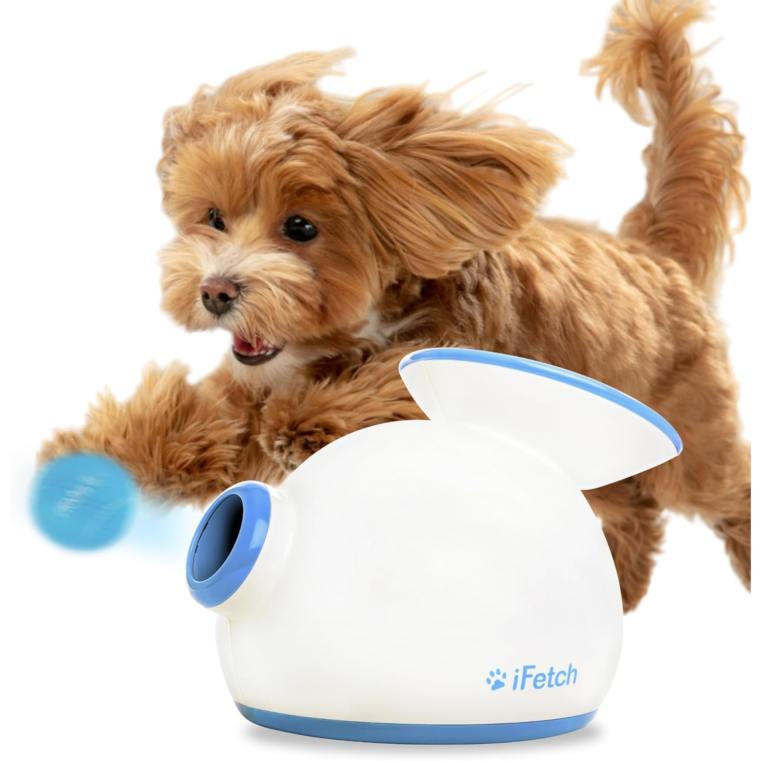 iFetch Automatic Dog Ball Launcher