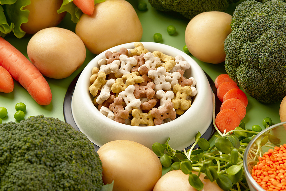 How to Choose the Best Vegan Dog Food in 2026 - Complete Guide