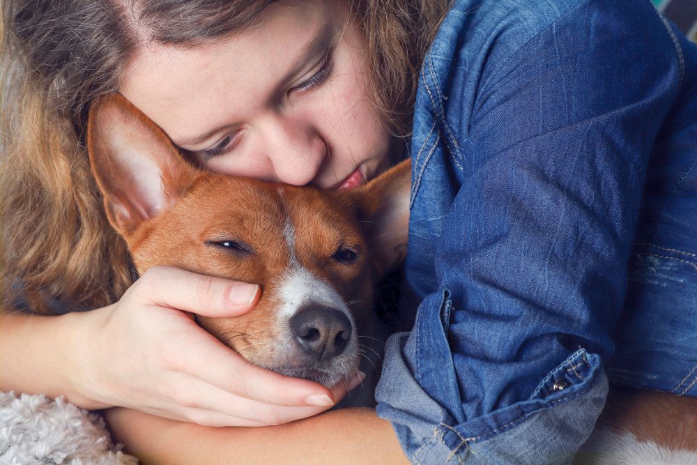 What To Do When Your Dog Has Cancer: Our Vet Discusses 6 Important Steps