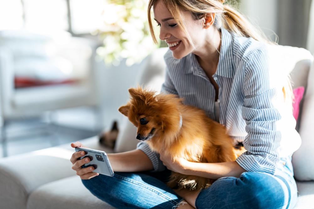 10 Top Dog Influencers: Highest Earning Pets on Social Media in 2026