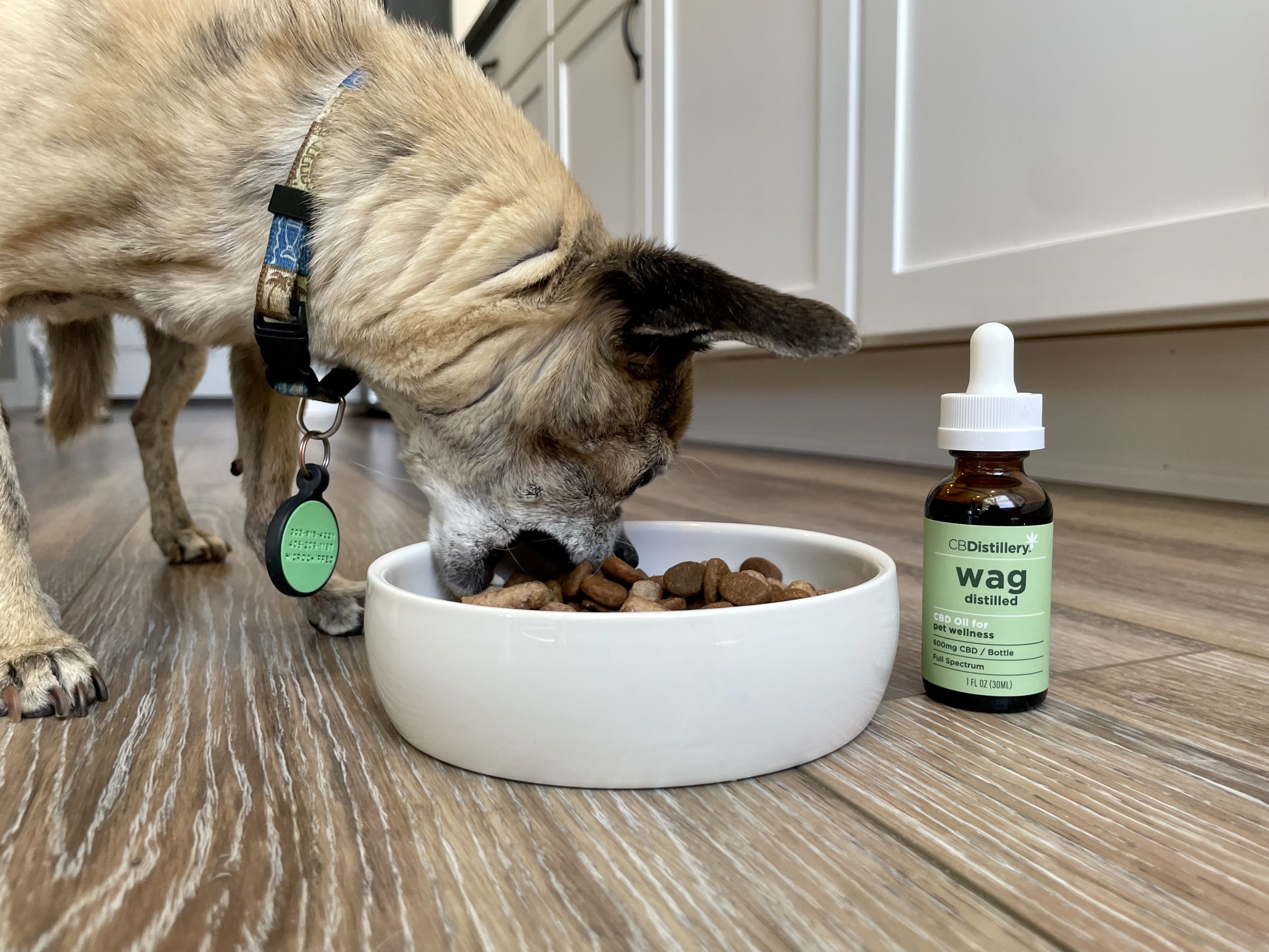 BDistillery CBD Pet Tincture