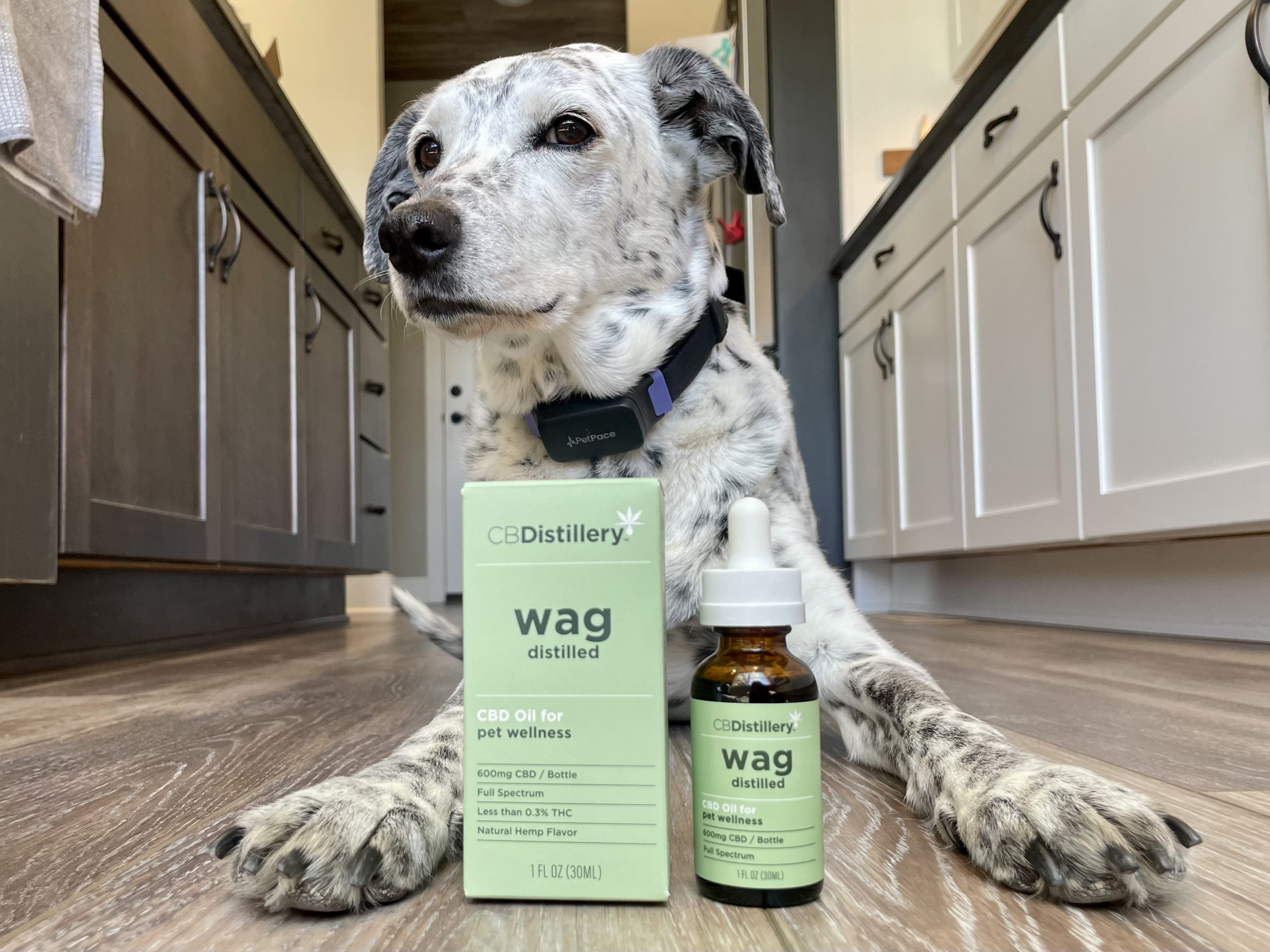 CBDistillery CBD Pet Tincture
