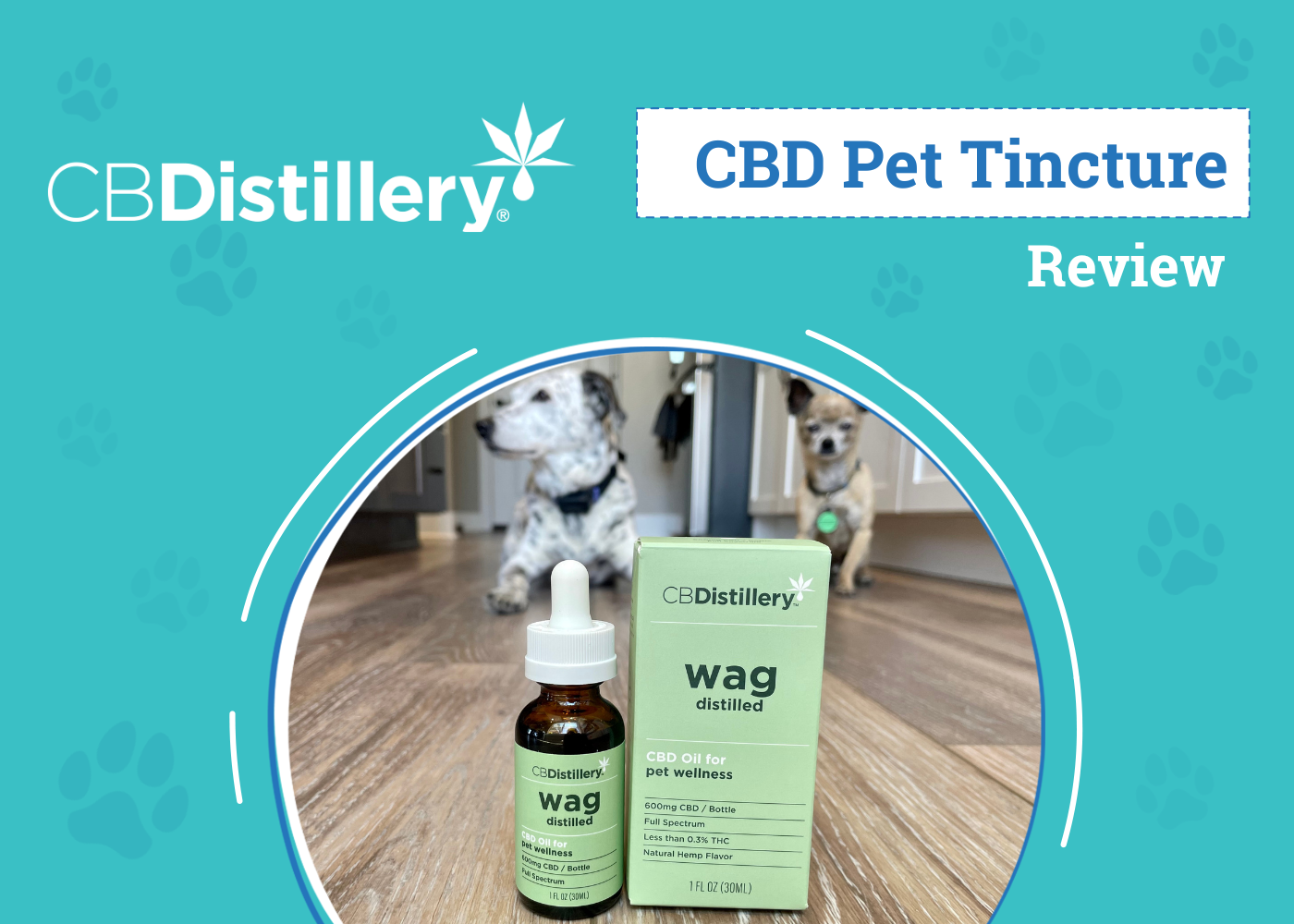CBDistillery Wag CBD Pet Tincture Review 2026: An Expert’s Breakdown