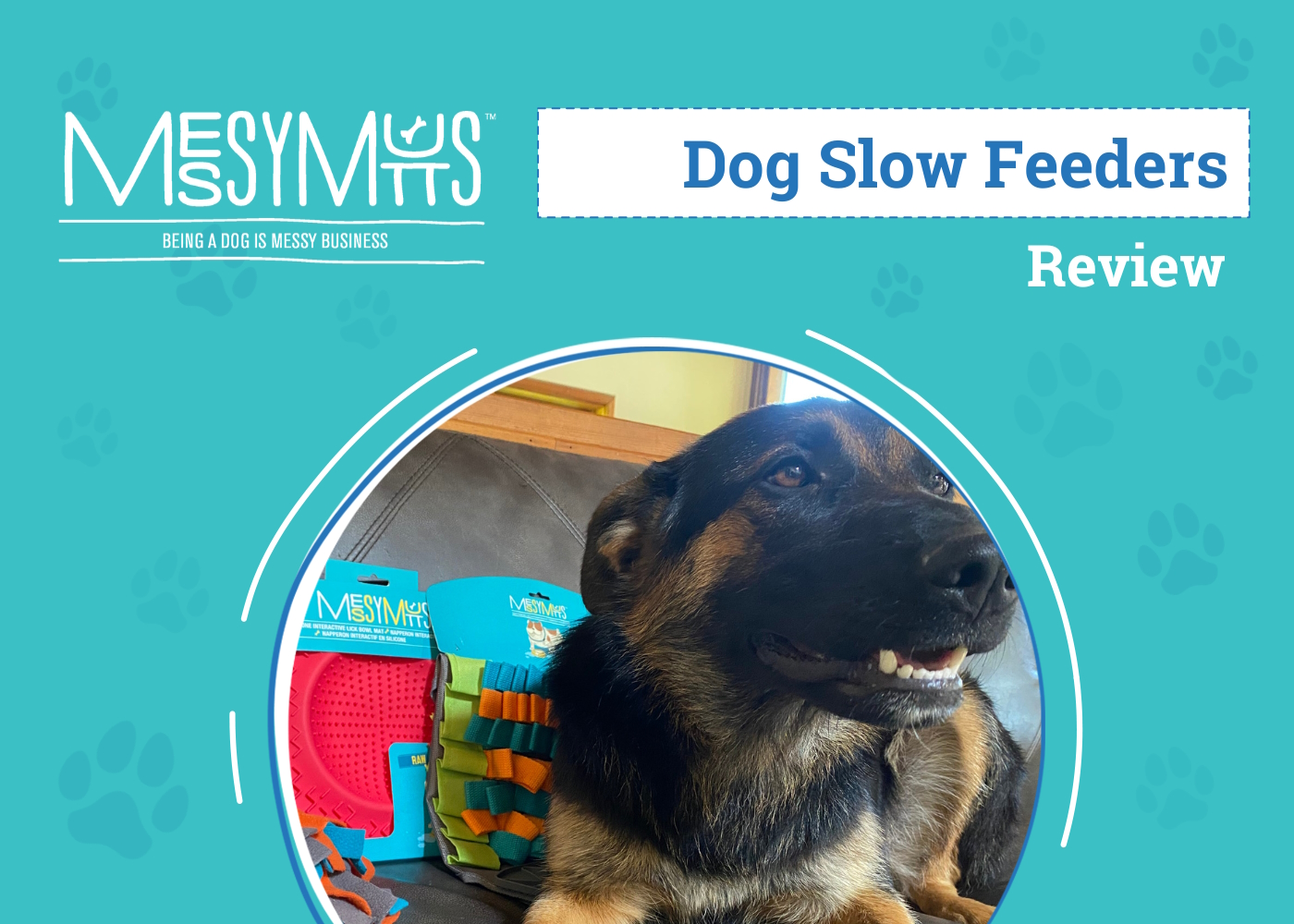 Messy Mutts Feeding Mats Review 2026: An Expert's Breakdown