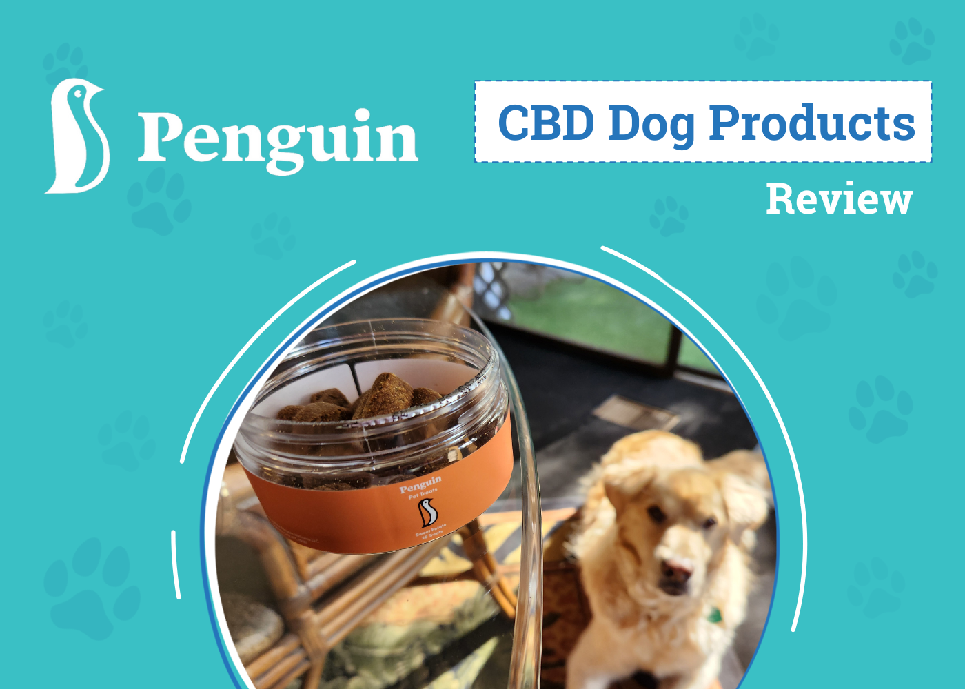 Penguin Dog CBD Supplements Review 2026: An Expert’s Breakdown