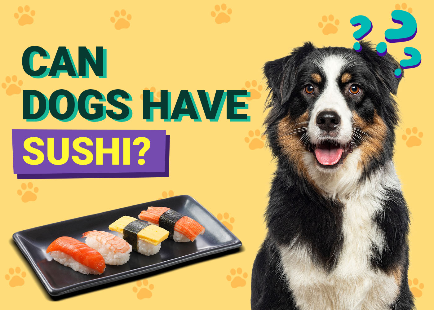 Can Dogs Have Sushi? Vet-Verified Facts & FAQ