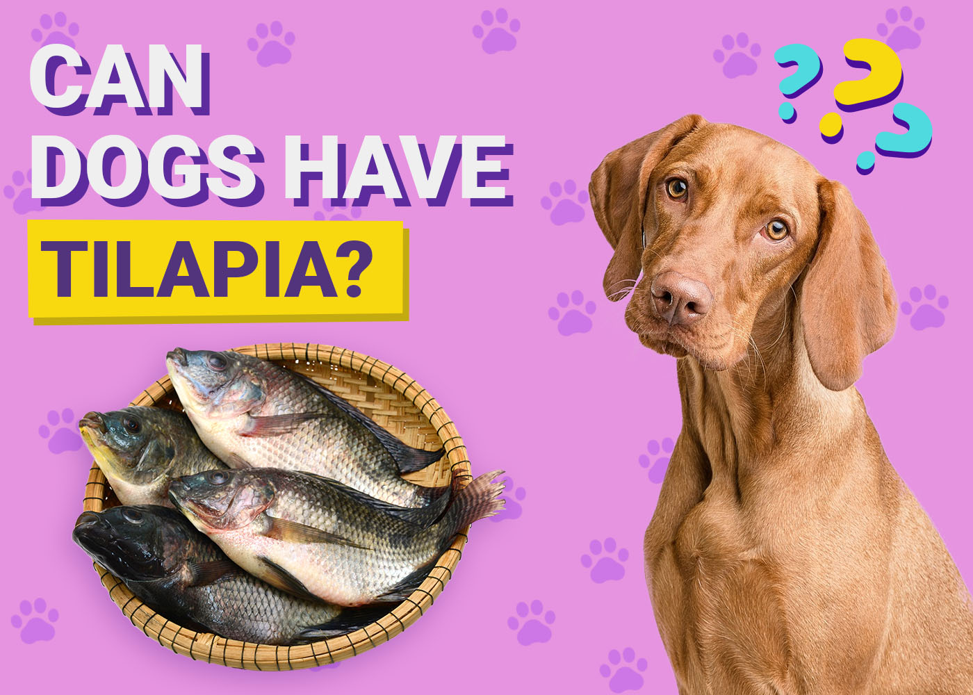 Can Dogs Have Tilapia? Vet-Verified Nutrition Facts & FAQ