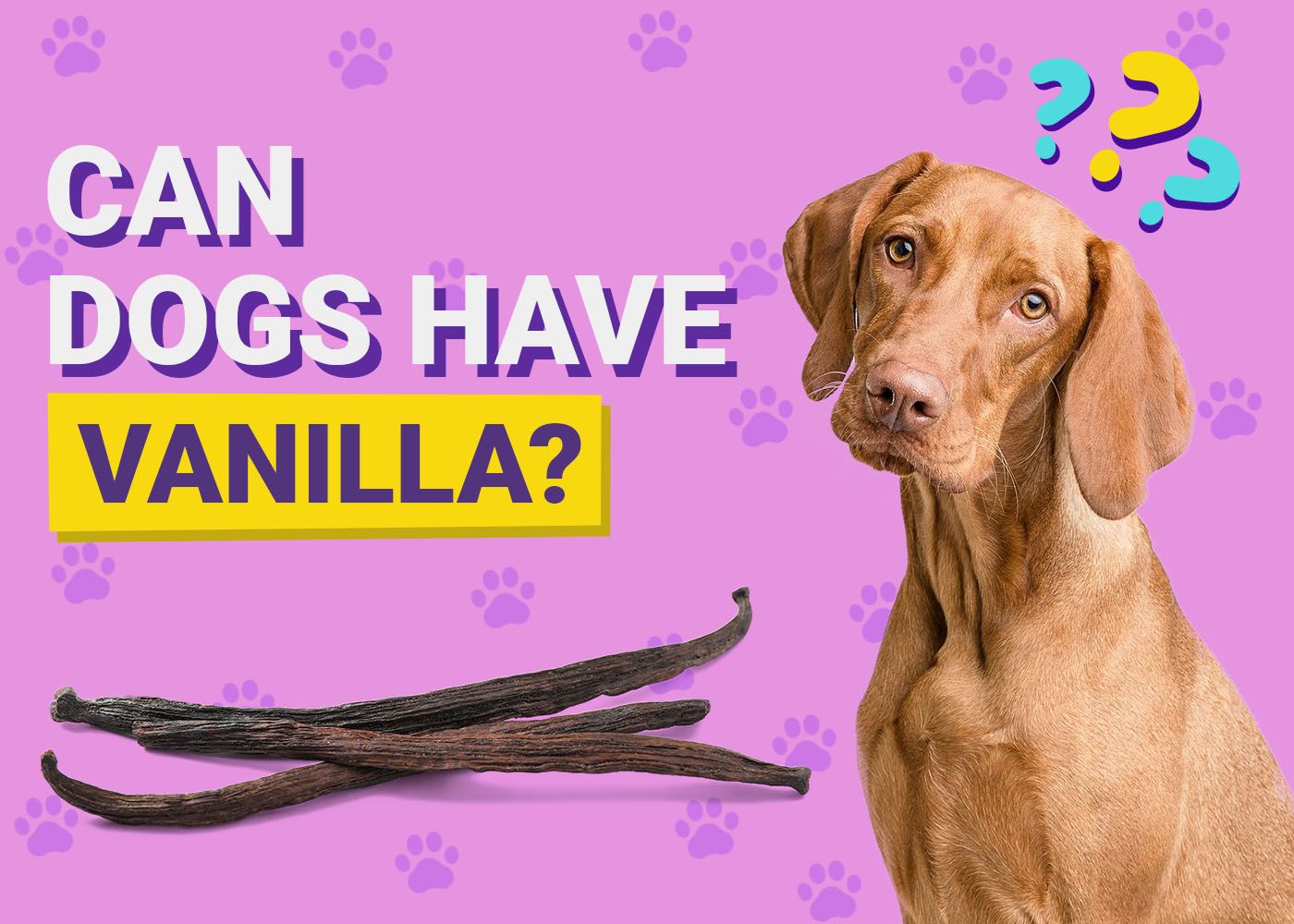 Can Dogs Have Vanilla? Vet-Verified Nutrition Facts & FAQ