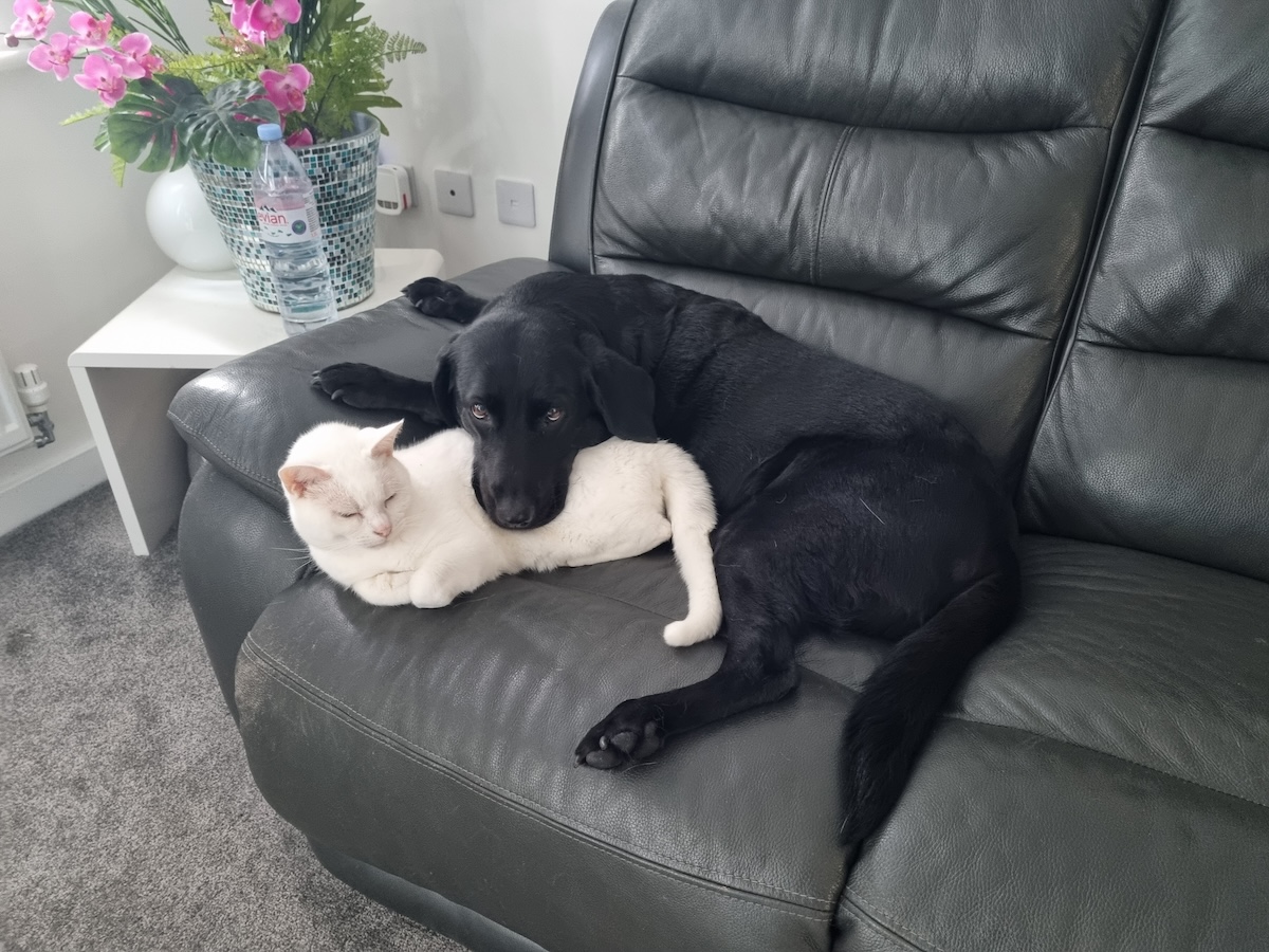 Poppy always makes herself comfortable.