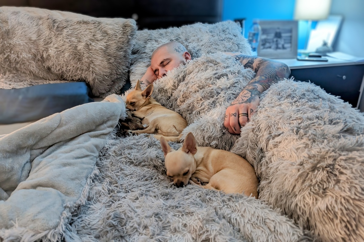 Ned, Fred, and Bed: An Unconventional Approach to Toilet Training