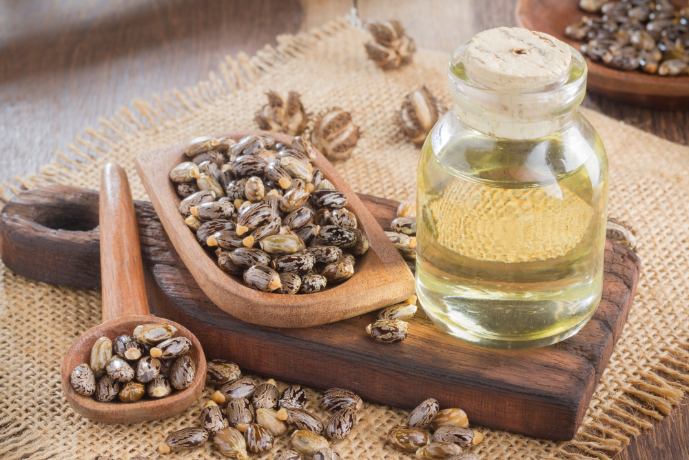 Castor Oil for Dogs: Our Vet Discusses Uses, Safety & Potential Risks