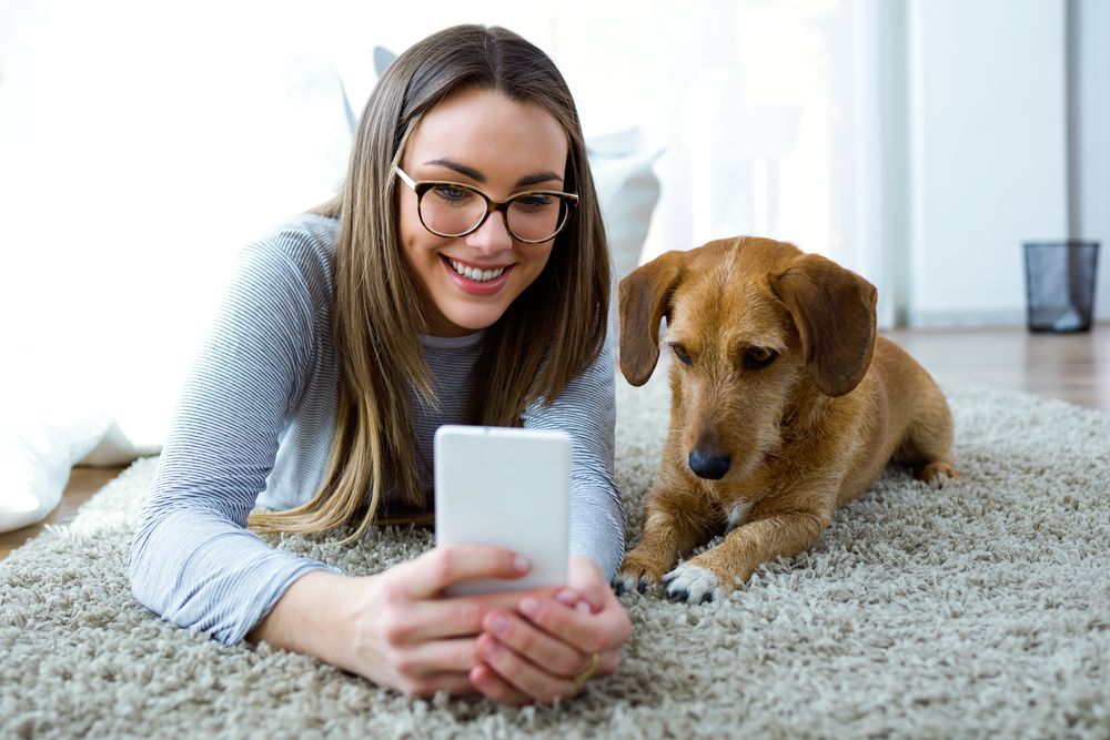 Pet Telehealth: How Does It Work? Vet-Approved Facts & FAQ