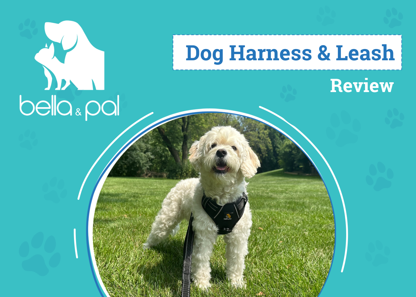 Bella & Pal Smart Pro Harness & Hands-Free Leash Set Review 2026: An Expert’s Breakdown