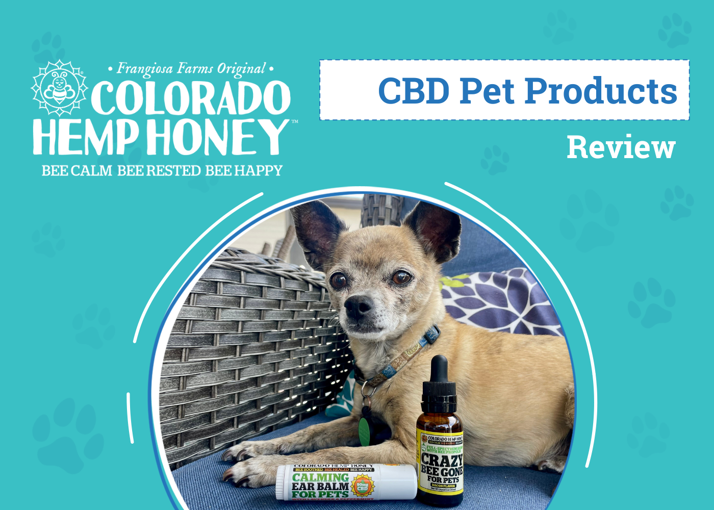 Colorado Hemp Honey Review 2026: An Expert’s Breakdown