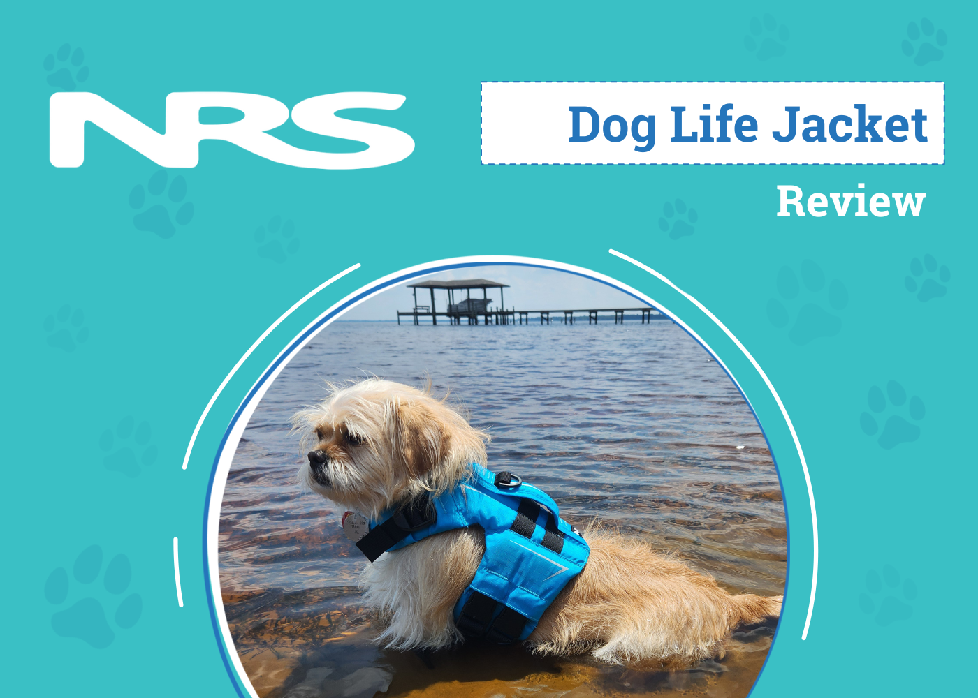 NRS CFD Dog Life Jacket Review 2026: An Expert’s Breakdown