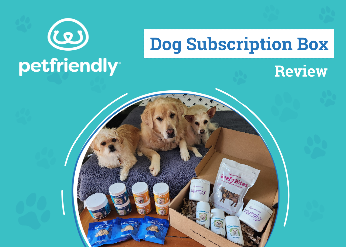 PetFriendly Box Review 2026: An Expert’s Breakdown