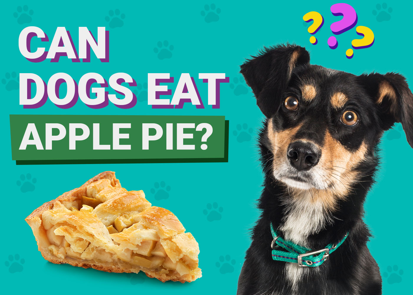 Can Dogs Eat Apple Pie? Vet-Verified Nutrition Facts & Info
