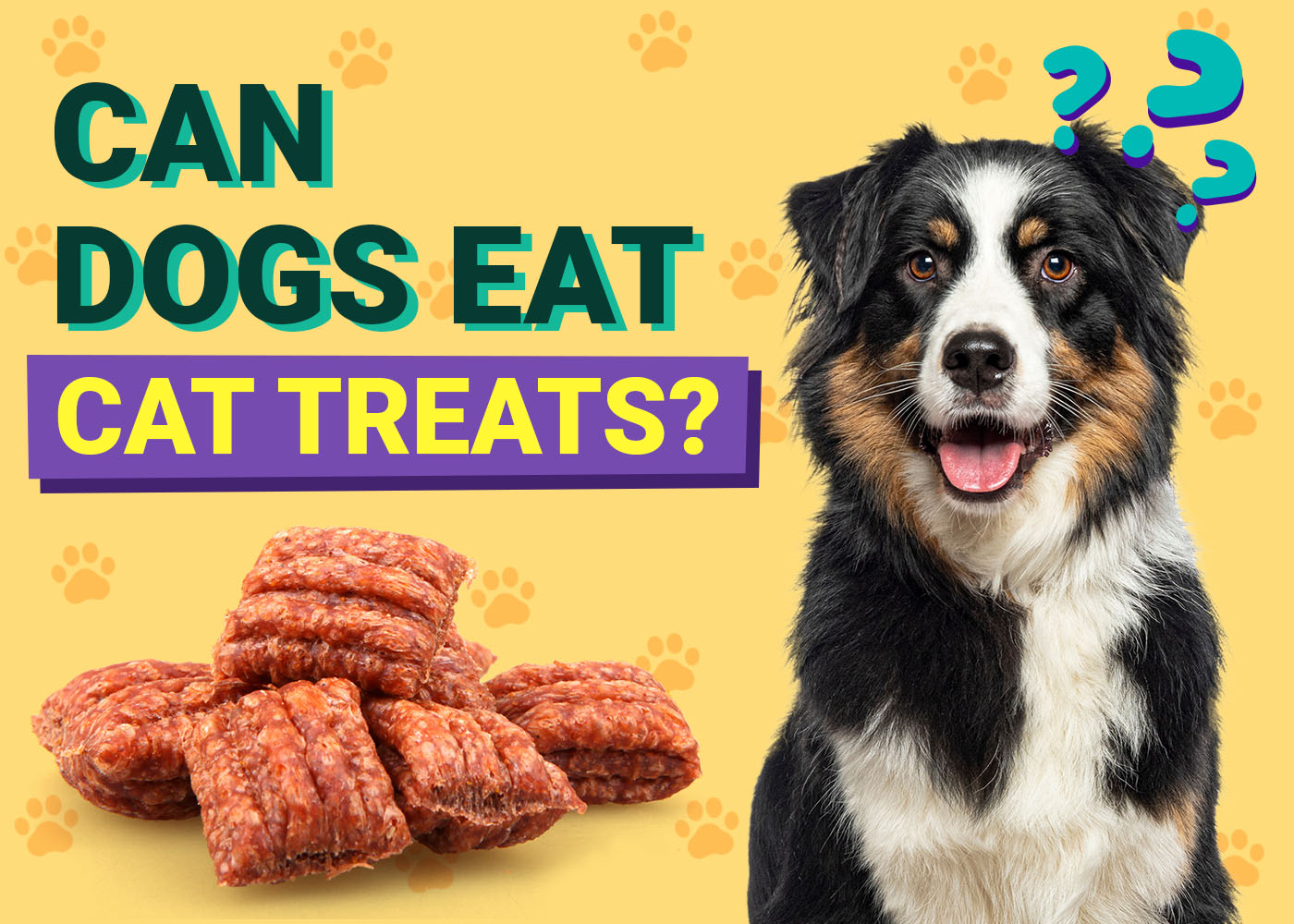 Can Dogs Eat Cat Treats? Nutritional Facts & FAQ (Vet Answer)