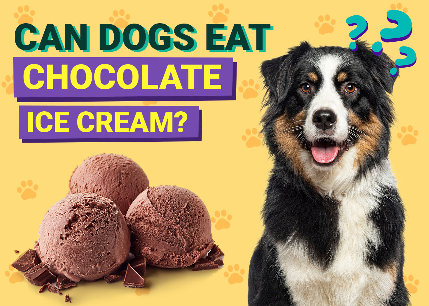 Can Dogs Eat Chocolate Ice Cream? Vet-Verified Nutrition Facts & Risks