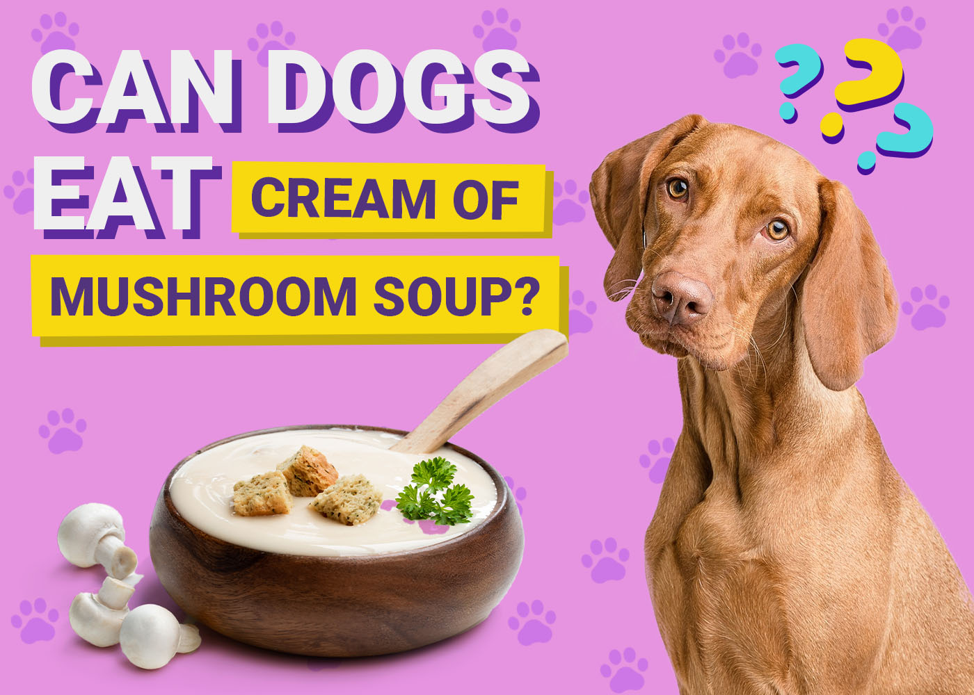Can Dogs Eat Cream of Mushroom Soup? Vet-Verified Nutrition Facts & Info