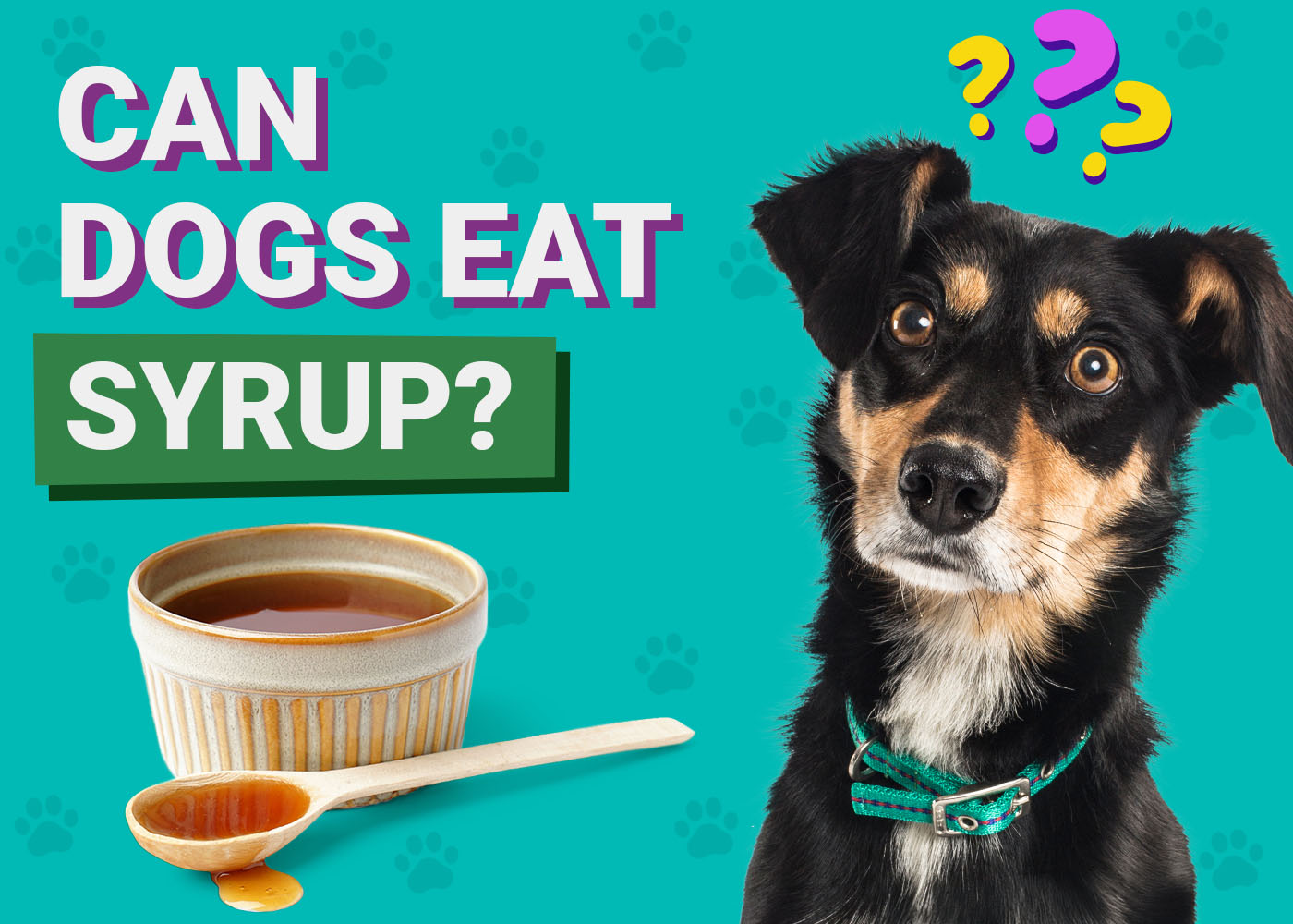 Can Dogs Eat Syrup? Vet-Verified Nutrition Facts & Info