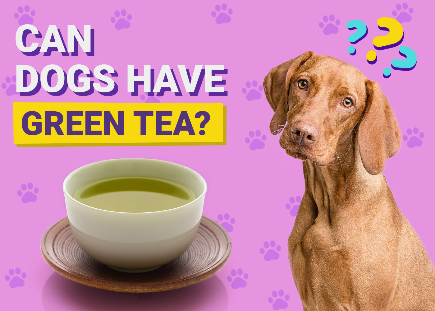 Can Dogs Have Green Tea? Vet-Verified Facts & FAQ