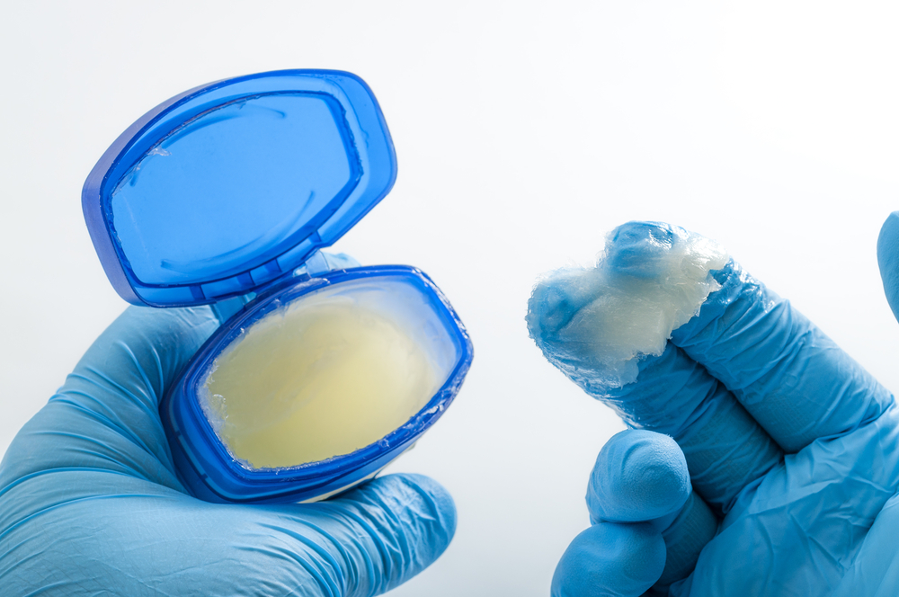 Can I Put Vaseline on My Dog’s Nose? Vet-Verified Facts & Advice