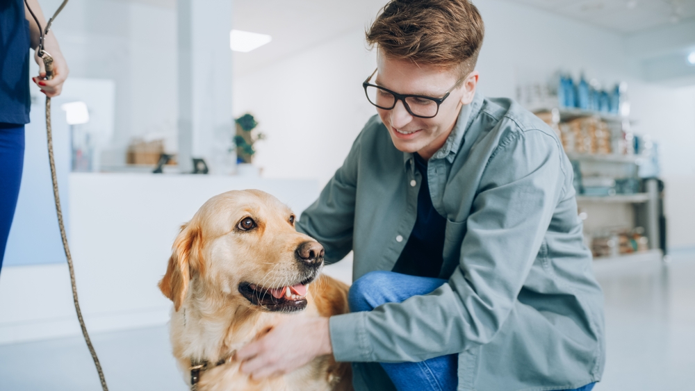 How to Make Your Dog Live Longer: Our Vet's 6 Tips to Increase Your Pup’s Lifespan
