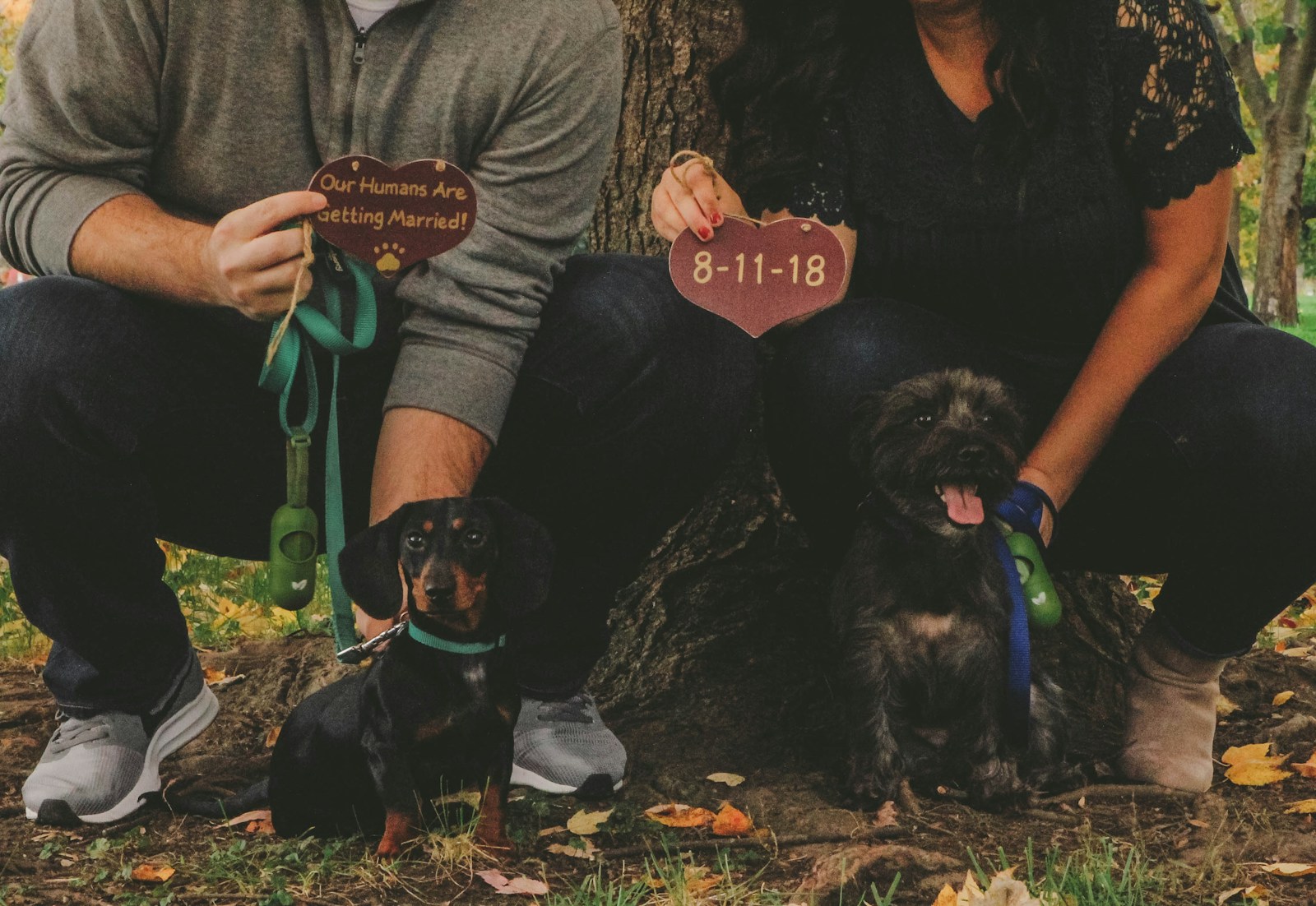 10 Tips for Engagement Photos With Your Dog in 2026