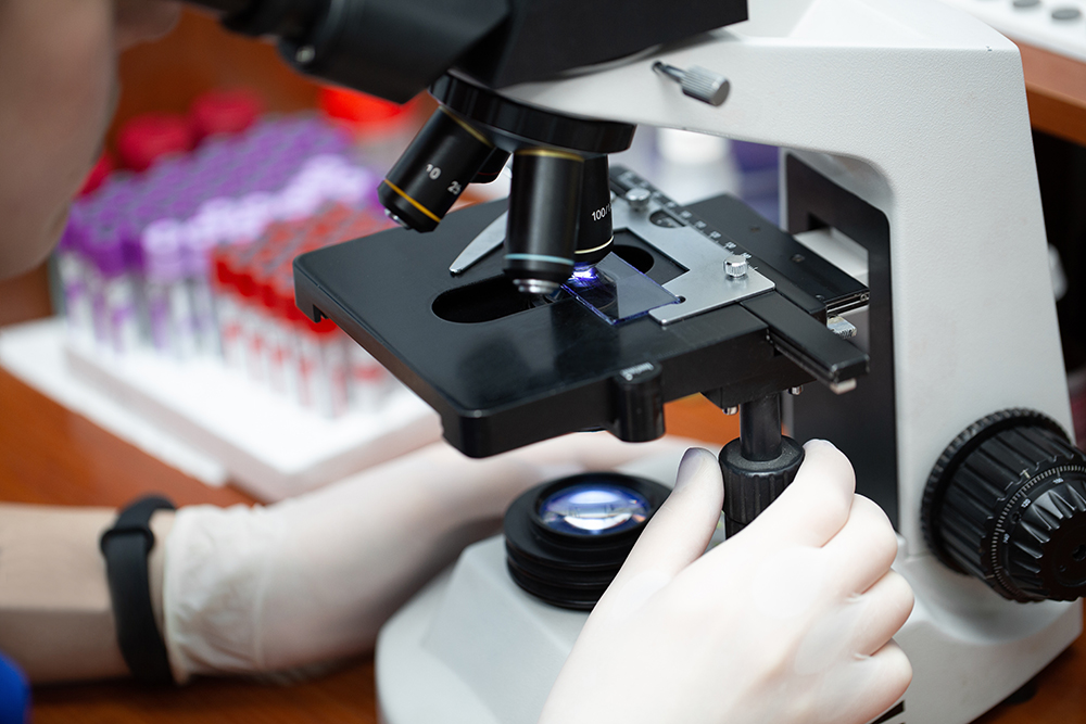 veterinarian looking at the microscope
