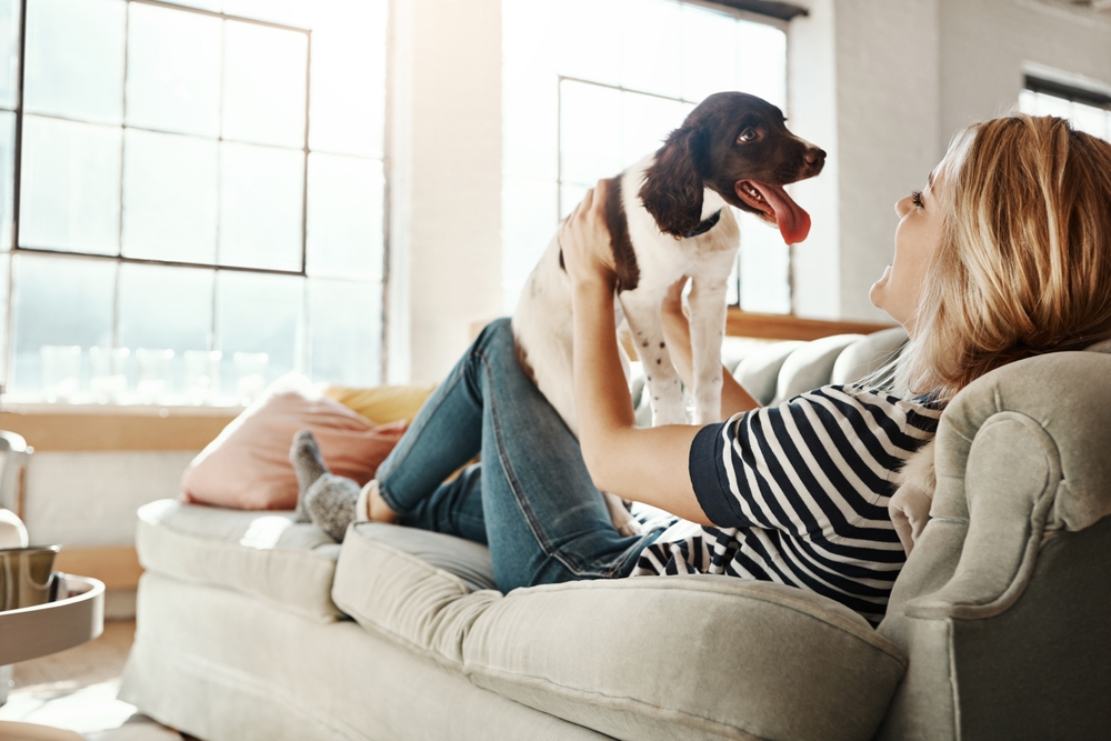 woman playing with her dog on couch