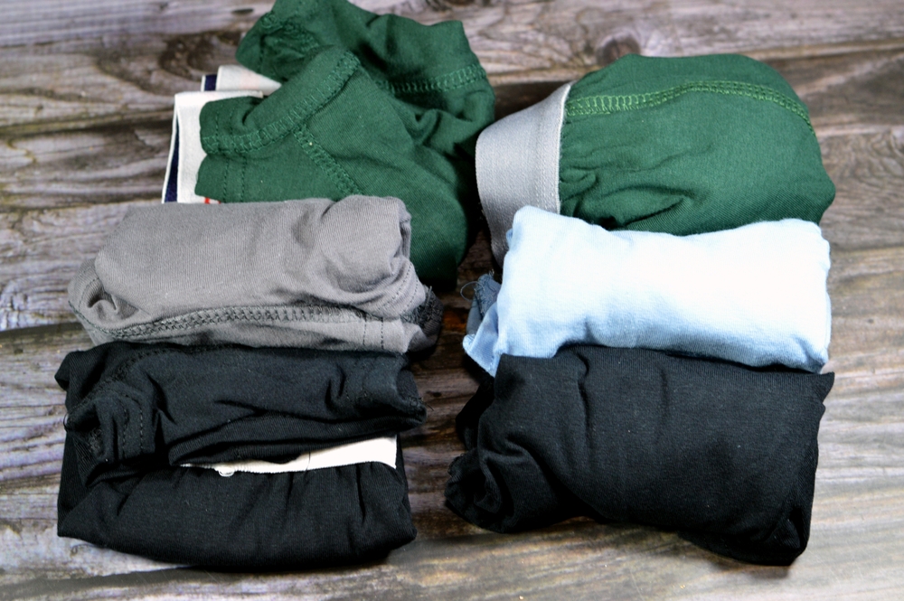 My Dog Swallowed Underwear: Vet Explained Risks, Signs & Next Steps
