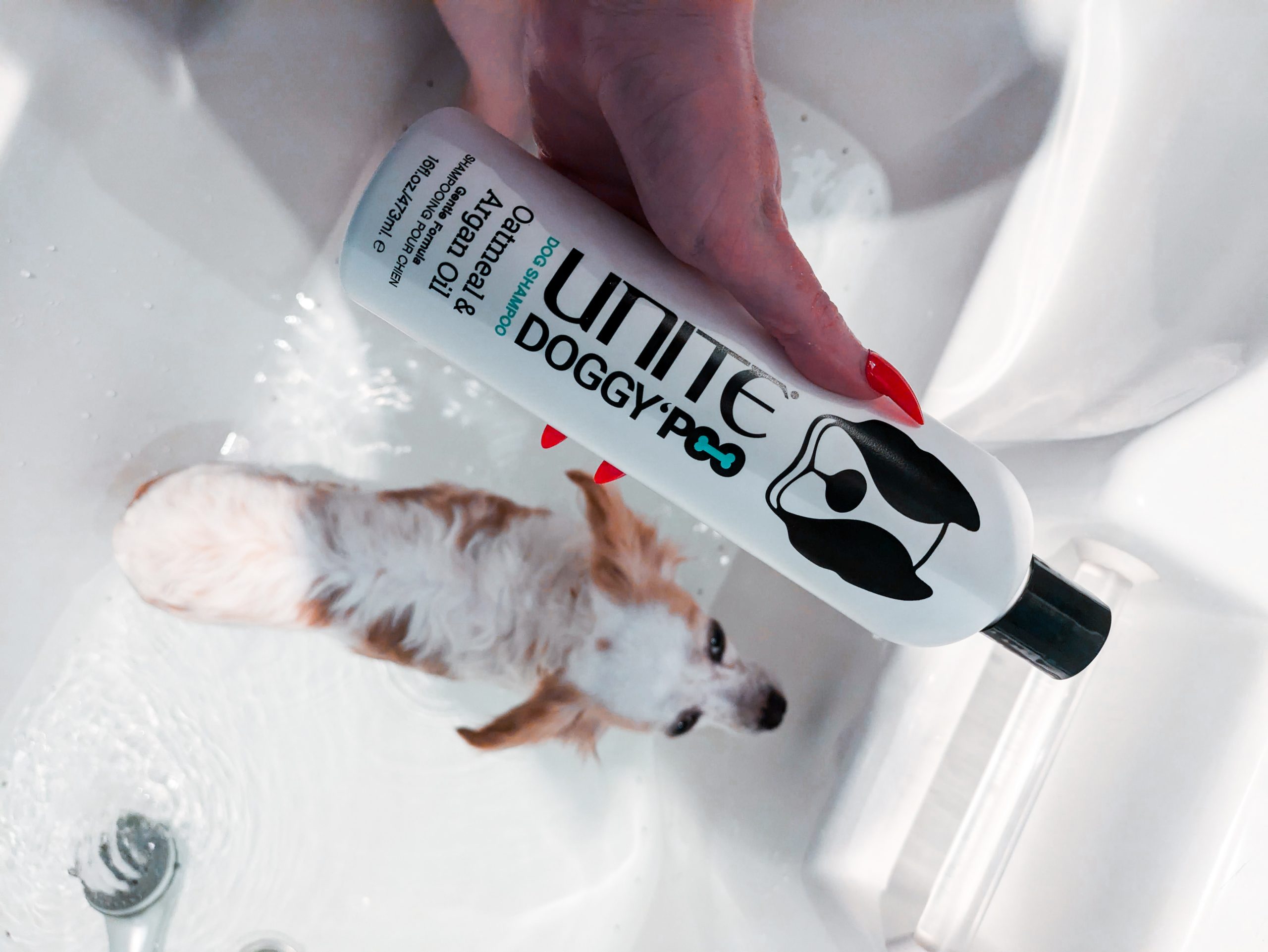 Doggy-poo shampoo with Lorelei inbath