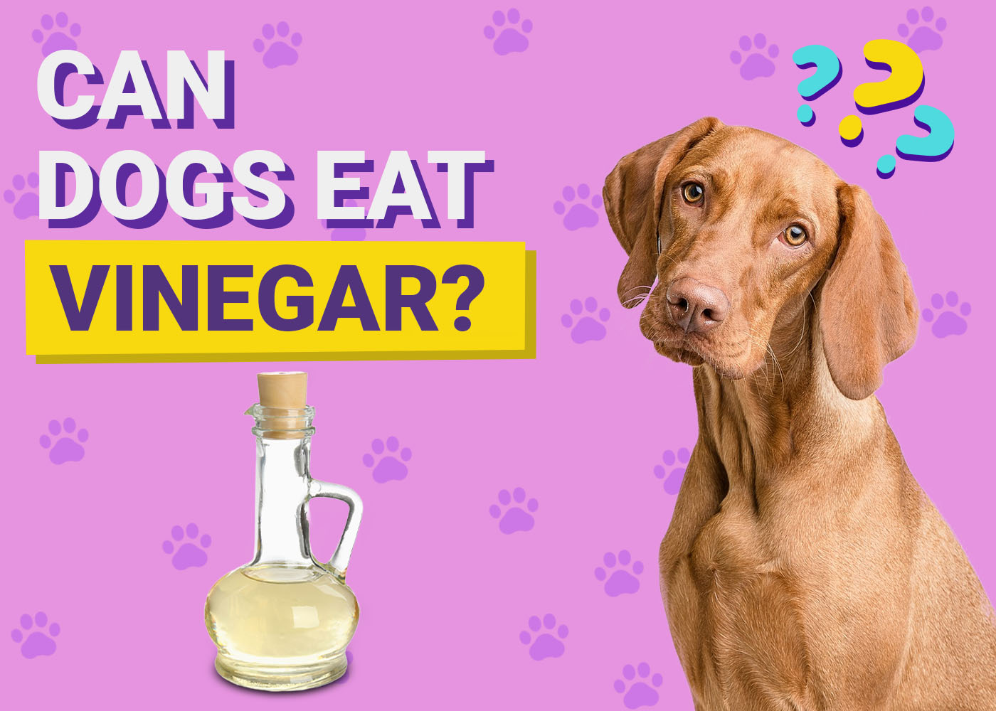 Can Dogs Eat Vinegar? Vet-Reviewed Nutrition Facts & Info