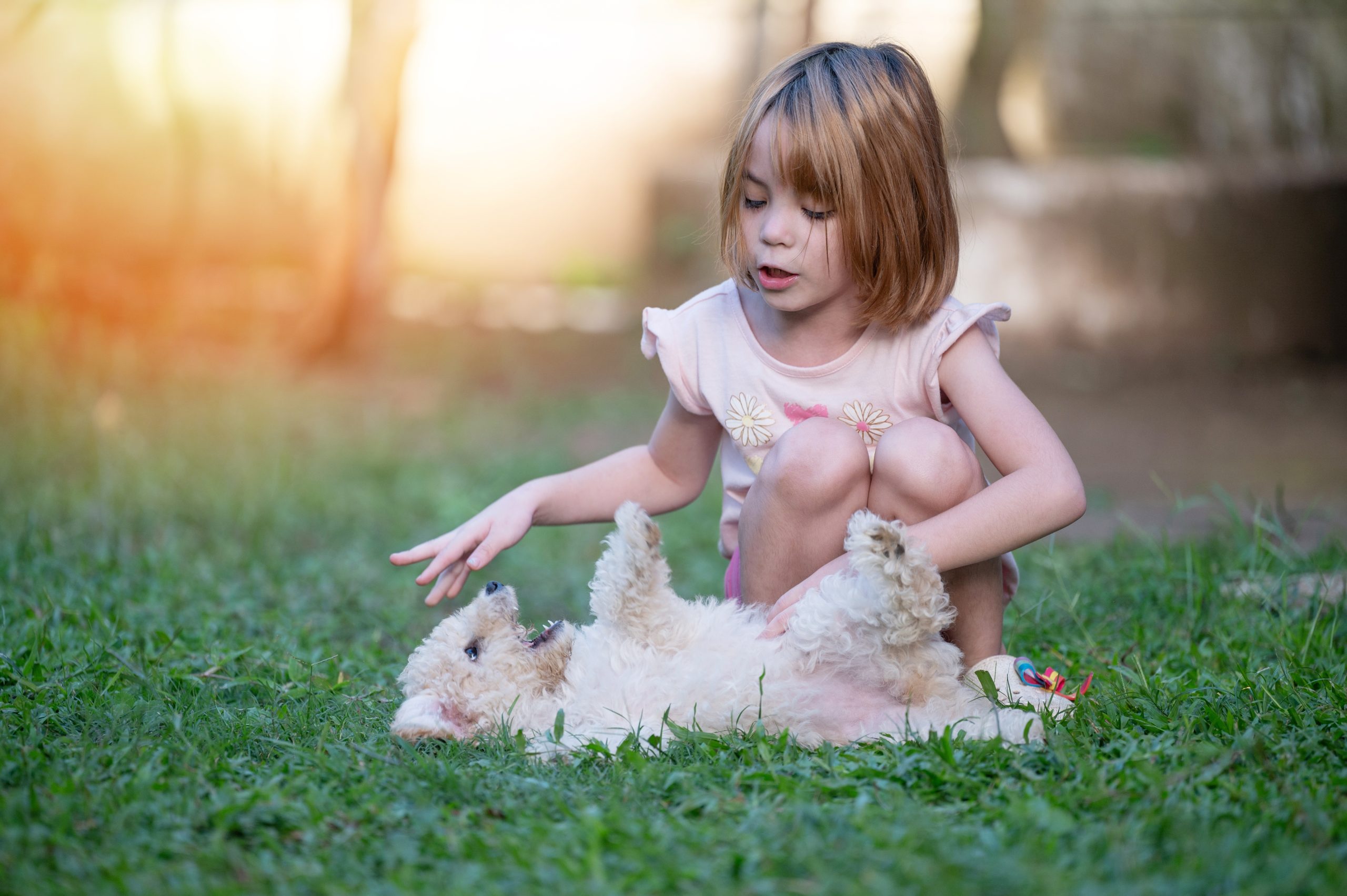 Girl having fun playing with poodle dog on blurred park background