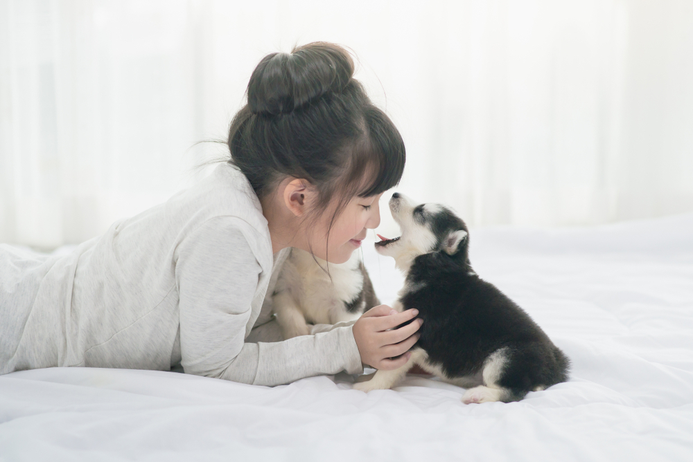 Are Huskies Good With Kids? Behavior & Safety Tips