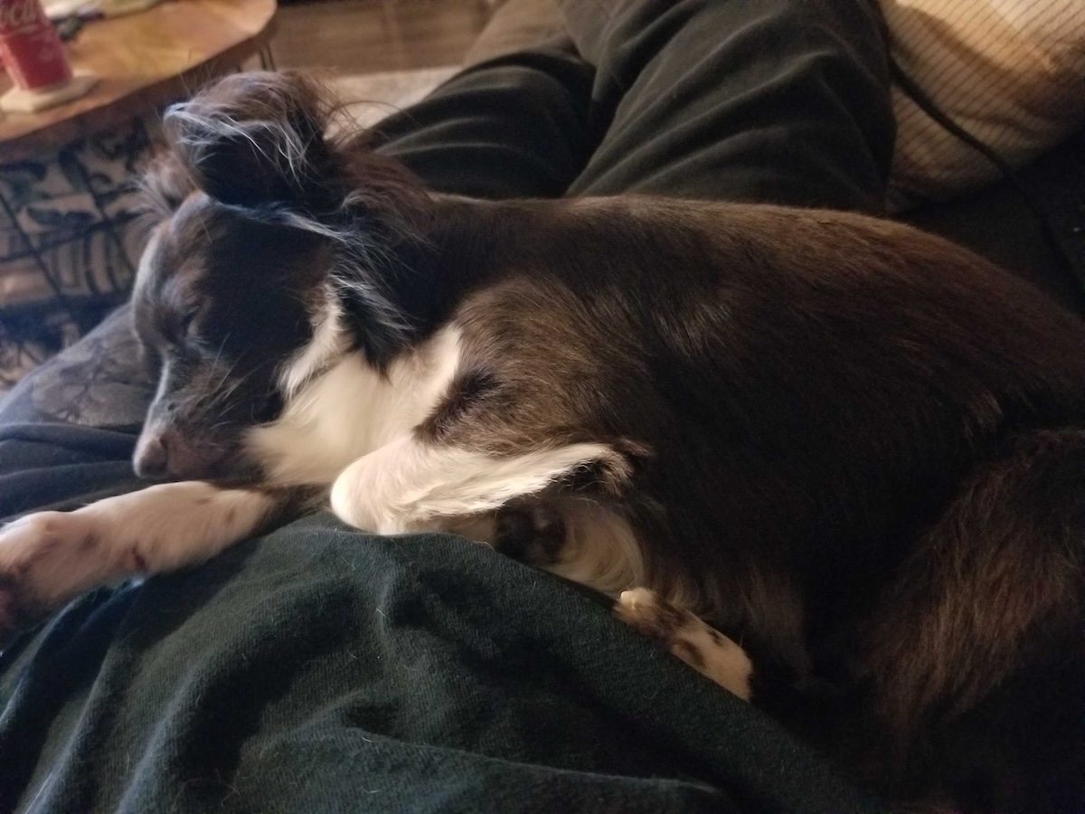 Two Peas in a Pod: Ways Penny and I Are Exactly Alike