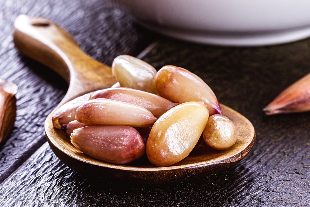 boiled pine nuts on a spoon